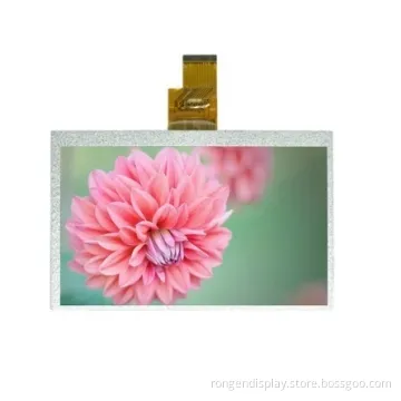Rg-T700mixn-01 High Quality Color 1024600 LCD Screen 7inch